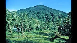 Karisoke  Dian Fosseys original research centre in the Virunga Volcanoes Rwanda [upl. by Irma]