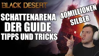 BDO  DER SCHATTENARENA GUIDE  Alles zu dem Battle Royal [upl. by Steinman564]