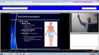 Chapter 18 Electrocardiographic Monitoring [upl. by Liliane703]