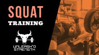 FULL POWERLIFTING SQUAT WORKOUT [upl. by Oiratnom]