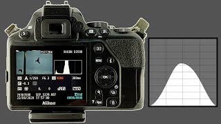 How to Get Perfect Exposure With The Nikon D3500 Histogram [upl. by Nosduj]