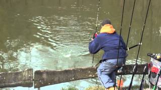 TFT Trout Fishing Tackle Tremarella Glas Montage  TFT Tremarella Ruten Angeln [upl. by Ihsakat]