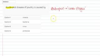 Rinderpest disease of poultry is caused by [upl. by Adlare164]