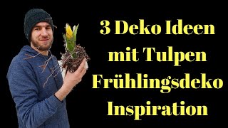 3 Tulpen Deko Ideen  Mitbringsel selber machen  Frühlingdeko  DIY Anleitung Blumenmann Floristik [upl. by Emmalynn473]