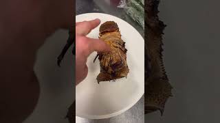 Flathead Slipper Lobster lobster food chef tasty seafood [upl. by Turrell]