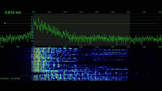 Russian Super Pirate Resumes Operations 4615 kHz  Signal Phantom [upl. by Varion]