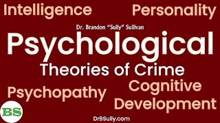 Psychological Theories of Crime  Intelligence Personality Psychopathy Cognitive Development [upl. by Ybbob]