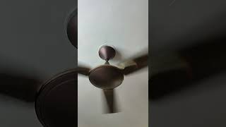 Ceiling fan Noise 😩 fan shorts shortsvideo fansound viral [upl. by Nirre793]