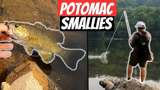 Potomac River Smallmouth Fishing from the Bank [upl. by Fletch]