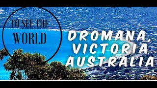 4K  Walking in Dromana Victoria Australia  Virtual Tour  2 August 2020  During Covid Lockdown [upl. by Enidan84]