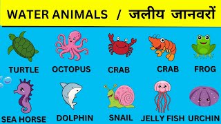 20 Water Animals Name  Water Animals Name in Hindi and English  Water Animals Name video [upl. by Sirac910]