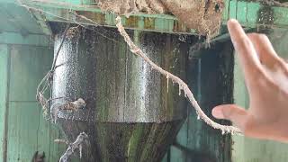 बिनौला से खल कैसे बनती है 101 शुद्ध खल ऐसे होती है तैयार How is oil cake prepared from cottonseed [upl. by Nnylyrehc808]