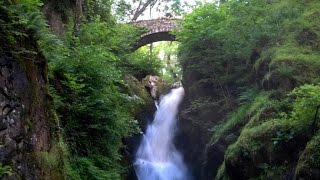 Aira Force Waterfall Lake District [upl. by Octavia259]