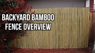 Backyard Bamboo Fencing – Easy Way For More Backyard Privacy [upl. by Malloch]