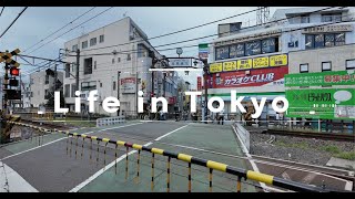 life in Tokyo ch 16  Koenji Awa Odori Festival [upl. by Fauch544]