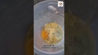 Homemade mayonnaise with stick blender  Ready in 2 mins [upl. by Carmon]