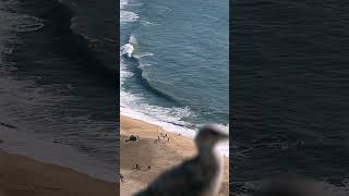 🌊 Explore Nazaré ondas gigantes e vistas incríveis Nazaré Portugal Mochilão shortsvideo [upl. by Carma848]