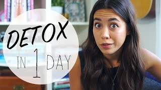 HOW TO Detox your Body in 1 Day [upl. by Yentroc]