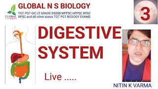 Digestive system Lecture 3 [upl. by Inalan]