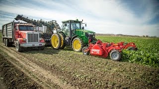 Spudnik Sugar Beet Product Range John Deere 7200R John Deere 8310R Case CVT380 [upl. by Courtney]