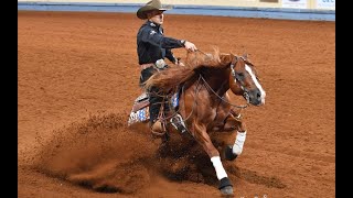 THE BAYER SELECT WORLD CHAMPIONSHIP SHOW FROM AMARILLO TEXAS [upl. by Antonio821]