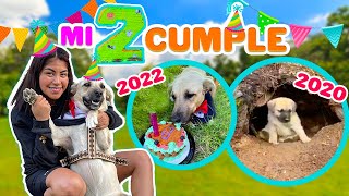 CUMPLEAÑOS 2 DE KODA 🐕EL PERRO DEL BOSQUE 🌳 ¡Es Muy Feliz [upl. by Elburt]