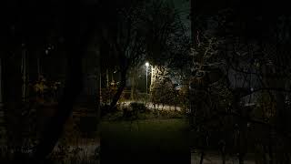 1 December winter snowfall at night 🌨️❄️🌔 christmas asmr nature [upl. by Latton]