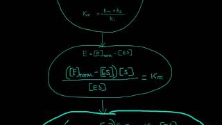 Michaelis Menten Equation Derivation [upl. by Yona]