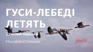 Михайло Стельмах — Гусилебеді летять аудіокнига скорочено [upl. by Aynek]