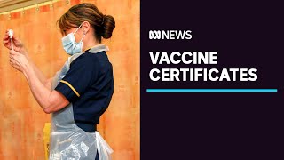 Australians to be issued COVID19 vaccine certificate after receiving the injection  ABC News [upl. by Ttennaej]