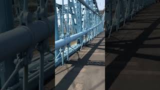 Walking from Cincinnati Ohio to Covington Kentucky on the John A Roebling suspension bridge [upl. by Serle95]