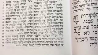 Tefilah 36 Yaleh Veyavo Al Hanisim  Prayer  Sharchris  תפילה 36 יעלה ויבוא ועל הניסים – שחרית [upl. by Akcinehs]