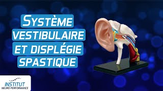 Système vestibulaire correction et dysplegie spastique [upl. by Ecirtam]