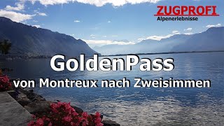 ZUGPROFI  Golden Pass  von Montreux nach Zweisimmen [upl. by Malia]