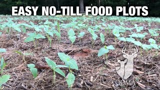 Easy Way to Prep Small IntheWoods Food Plots for Deer [upl. by Jase441]