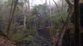 Clifty Creek Falls walk up Sipsey Wilderness AL 033013 [upl. by Nylloc]