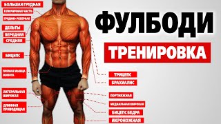 Лучшая ФУЛБОДИ программа тренировок для НАБОРА МАССЫ тренировка «А» [upl. by Terrag606]