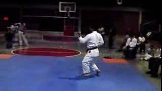 seibukan karatedo kata jion [upl. by Lowe]