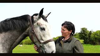 Success Story Victoria Teuton Shannaghmore Horses [upl. by Mik404]