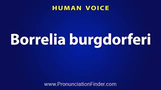 How To Pronounce Borrelia burgdorferi [upl. by Akiwak254]