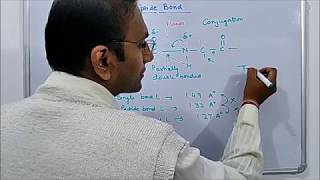 DL Amino Acids and Peptide Bond formation [upl. by Shelba]