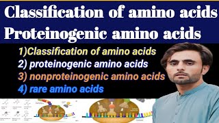 Classification of amino acidproteinogenic amino acidsnonproteinogenic amino acidsRare amino acids [upl. by Barnaba]