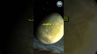 STUNNING Discover Around Jupiter shorts [upl. by Nikal806]