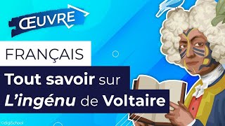 L’Ingénu de Voltaire  tout savoir pour le bac de français première techno [upl. by Ecyaj]