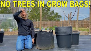 DONT Plant Fruit Trees In Fabric Grow Bags [upl. by Fahy675]