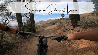 Sonoran Desert Loop [upl. by Tocci965]