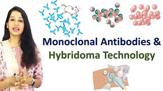 Monoclonal Antibodies and Hybridoma Technology I Immunotechniques I Immunology [upl. by Shreve518]