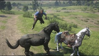 RDR2The Real Trick to Catch a Missouri Fox Trotter Photographer Mission Method [upl. by Ash]