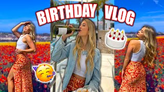 MY BIRTHDAY VLOG my friends surprised me [upl. by Florida895]