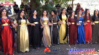 şiyar berwari botani kurdish wedding gunde elemune [upl. by Naynek877]